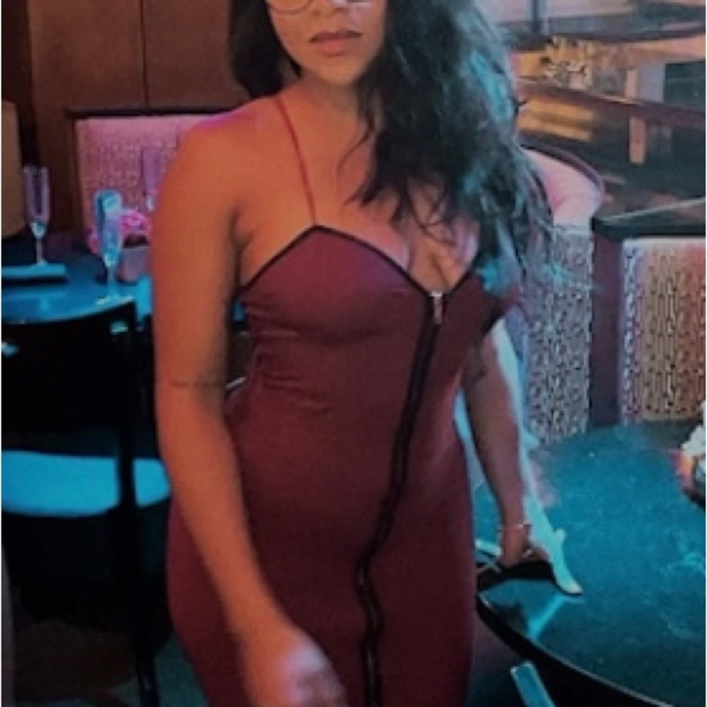 Burgundy zip up dress